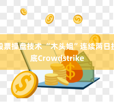 股票操盘技术 “木头姐”连续两日抄底Crowdstrike