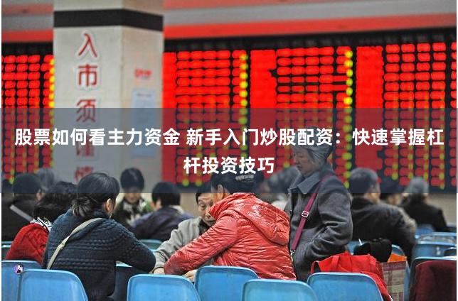 股票如何看主力资金 新手入门炒股配资：快速掌握杠杆投资技巧
