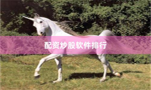 配资炒股软件排行